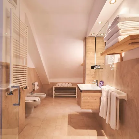 Hotel Mondolé 3*